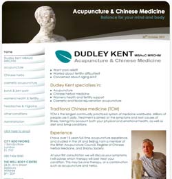 Acupuncture Website Design | Shape #03