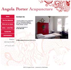 Acupuncture Website Design | Shape #04