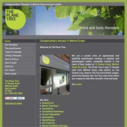 Complementary Therapy Website Design | Shape #03