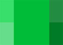Homeopathy Website Design | Colour #02