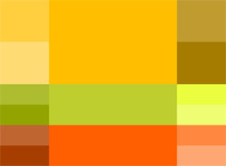 Natural Health Clinic Website Design | Colour #03